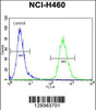 Flow cytometric analysis of NCI-H460 cells (right histogram) compared to a negative control cell (left histogram) .FITC-conjugated goat-anti-rabbit secondary antibodies were used for the analysis.