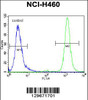 Flow cytometric analysis of NCI-H460 cells (right histogram) compared to a negative control cell (left histogram) .FITC-conjugated goat-anti-rabbit secondary antibodies were used for the analysis.