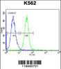 Flow cytometric analysis of K562 cells (right histogram) compared to a negative control cell (left histogram) .FITC-conjugated goat-anti-rabbit secondary antibodies were used for the analysis.