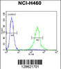 Flow cytometric analysis of NCI-H460 cells (right histogram) compared to a negative control cell (left histogram) .FITC-conjugated goat-anti-rabbit secondary antibodies were used for the analysis.