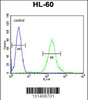 Flow cytometric analysis of HL-60 cells (right histogram) compared to a negative control cell (left histogram) .FITC-conjugated goat-anti-rabbit secondary antibodies were used for the analysis.