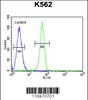 Flow cytometric analysis of K562 cells (right histogram) compared to a negative control cell (left histogram) .FITC-conjugated goat-anti-rabbit secondary antibodies were used for the analysis.