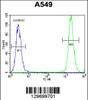 Flow cytometric analysis of A549 cells (right histogram) compared to a negative control cell (left histogram) .FITC-conjugated goat-anti-rabbit secondary antibodies were used for the analysis.