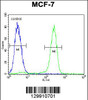 Flow cytometric analysis of MCF-7 cells (right histogram) compared to a negative control cell (left histogram) .FITC-conjugated goat-anti-rabbit secondary antibodies were used for the analysis.