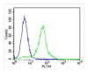 Overlay histogram showing Hela cells stained with Antibody (green line) . The cells were fixed with 2% paraformaldehyde (10 min) and then permeabilized with 90% methanol for 10 min. The cells were then icubated in 2% bovine serum albumin to block non-specific protein-protein interactions followed by the antibody (1:25 dilution) for 60 min at 37ºC. The secondary antibody used was Goat-Anti-Rabbit IgG, DyLight 488 Conjugated Highly Cross-Adsorbed (OH191631) at 1/400 dilution for 40 min at 37ºC. Isotype control antibody (blue line) was rabbit IgG (1ug/1x10^6 cells) used under the same conditions. Acquisition of >10, 000 events was performed.