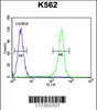 Flow cytometric analysis of K562 cells (right histogram) compared to a negative control cell (left histogram) .FITC-conjugated goat-anti-rabbit secondary antibodies were used for the analysis.