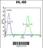 Flow cytometric analysis of HL-60 cells (right histogram) compared to a negative control cell (left histogram) .FITC-conjugated goat-anti-rabbit secondary antibodies were used for the analysis.