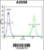 Flow cytometric analysis of A2058 cells (right histogram) compared to a negative control cell (left histogram) .FITC-conjugated goat-anti-rabbit secondary antibodies were used for the analysis.