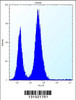 Flow cytometric analysis of Jurkat cells (right histogram) compared to a negative control cell (left histogram) .FITC-conjugated donkey-anti-rabbit secondary antibodies were used for the analysis.