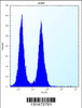 Flow cytometric analysis of Jurkat cells (right histogram) compared to a negative control cell (left histogram) .FITC-conjugated donkey-anti-rabbit secondary antibodies were used for the analysis.