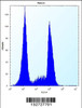 Flow cytometric analysis of Ramos cells (right histogram) compared to a negative control cell (left histogram) .FITC-conjugated donkey-anti-rabbit secondary antibodies were used for the analysis.