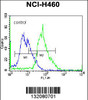 Flow cytometric analysis of NCI-H460 cells (right histogram) compared to a negative control cell (left histogram) .FITC-conjugated donkey-anti-rabbit secondary antibodies were used for the analysis.