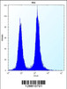 Flow cytometric analysis of Hela cells (right histogram) compared to a negative control cell (left histogram) .FITC-conjugated donkey-anti-rabbit secondary antibodies were used for the analysis.