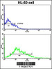 Flow cytometric analysis of HL-60 cells using LIN28B Antibody (bottom histogram) compared to a negative control cell (top histogram) . FITC-conjugated goat-anti-rabbit secondary antibodies were used for the analysis.