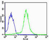 Flow cytometric analysis of MCF-7 cells using FBXL17 Isoform 2 Antibody (green) compared to an isotype control of rabbit IgG (blue) . Antibody was diluted at 1:25 dilution. An Alexa Fluor 488 goat anti-rabbit lgG at 1:400 dilution was used as the secondary antibody.