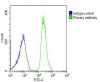 Overlay histogram showing U-2OS cells stained with Antibody (green line) . The cells were fixed with 2% paraformaldehyde (10 min) and then permeabilized with 90% methanol for 10 min. The cells were then icubated in 2% bovine serum albumin to block non-specific protein-protein interactions followed by the antibody (1:25 dilution) for 60 min at 37ºC. The secondary antibody used was Goat-Anti-Rabbit IgG, DyLight 488 Conjugated Highly Cross-Adsorbed (OH191631) at 1/200 dilution for 40 min at 37ºC. Isotype control antibody (blue line) was rabbit IgG (1ug/1x10^6 cells) used under the same conditions. Acquisition of >10, 000 events was performed.