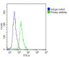 Overlay histogram showing Jurkat cells stained with Antibody (green line) . The cells were fixed with 2% paraformaldehyde (10 min) and then permeabilized with 90% methanol for 10 min. The cells were then icubated in 2% bovine serum albumin to block non-specific protein-protein interactions followed by the antibody (1:25 dilution) for 60 min at 37ºC. The secondary antibody used was Goat-Anti-Rabbit IgG, DyLight 488 Conjugated Highly Cross-Adsorbed (OH191631) at 1/200 dilution for 40 min at 37ºC. Isotype control antibody (blue line) was rabbit IgG (1ug/1x10^6 cells) used under the same conditions. Acquisition of >10, 000 events was performed.