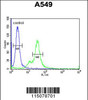 Flow cytometric analysis of A549 cells (right histogram) compared to a negative control cell (left histogram) .FITC-conjugated goat-anti-rabbit secondary antibodies were used for the analysis.