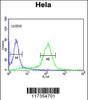 Flow cytometric analysis of Hela cells (right histogram) compared to a negative control cell (left histogram) .FITC-conjugated goat-anti-rabbit secondary antibodies were used for the analysis.