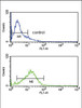 Flow cytometry analysis of Jurkat cells (bottom histogram) compared to a negative control cell (top histogram) .FITC-conjugated goat-anti-rabbit secondary antibodies were used for the analysis.