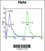 Flow cytometric analysis of Hela cells (right histogram) compared to a negative control cell (left histogram) .FITC-conjugated goat-anti-rabbit secondary antibodies were used for the analysis.