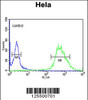 Flow cytometric analysis of Hela cells (right histogram) compared to a negative control cell (left histogram) .FITC-conjugated goat-anti-rabbit secondary antibodies were used for the analysis.