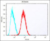 Overlay histogram showing HepG2 cells stained with Antibody (red line) . The cells were fixed with 2% paraformaldehyde (10 min) and then permeabilized with 90% methanol for 10 min. The cells were then icubated in 2% bovine serum albumin to block non-specific protein-protein interactions followed by the antibody (1:25 dilution) for 60 min at 37ºC. The secondary antibody used was Alexa Fluor 488 goat anti-rabbit lgG (H+L) (1583138) at 1/400 dilution for 40 min at 37ºC. Isotype control antibody (blue line) was rabbit IgG1 (1ug/1x10^6 cells) used under the same conditions. Acquisition of >10, 000 events was performed.