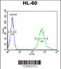 Flow cytometric analysis of HL-60 cells (right histogram) compared to a negative control cell (left histogram) .FITC-conjugated goat-anti-rabbit secondary antibodies were used for the analysis.