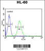 Flow cytometric analysis of HL-60 cells (right histogram) compared to a negative control cell (left histogram) .FITC-conjugated goat-anti-rabbit secondary antibodies were used for the analysis.