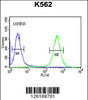 Flow cytometric analysis of K562 cells (right histogram) compared to a negative control cell (left histogram) .FITC-conjugated goat-anti-rabbit secondary antibodies were used for the analysis.