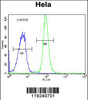 Flow cytometric analysis of Hela cells (right histogram) compared to a negative control cell (left histogram) .FITC-conjugated goat-anti-rabbit secondary antibodies were used for the analysis.