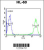 Flow cytometric analysis of HL-60 cells (right histogram) compared to a negative control cell (left histogram) .FITC-conjugated goat-anti-rabbit secondary antibodies were used for the analysis.