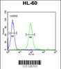 Flow cytometric analysis of HL-60 cells (right histogram) compared to a negative control cell (left histogram) .FITC-conjugated goat-anti-rabbit secondary antibodies were used for the analysis.