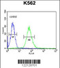 Flow cytometric analysis of K562 cells (right histogram) compared to a negative control cell (left histogram) .FITC-conjugated goat-anti-rabbit secondary antibodies were used for the analysis.