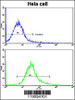 Flow cytometric analysis of hela cells using ARPC1A Antibody (bottom histogram) compared to a negative control cell (top histogram) . FITC-conjugated goat-anti-rabbit secondary antibodies were used for the analysis.