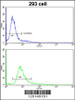 Flow cytometric analysis of 293 cells using (bottom histogram) compared to a negative control cell (top histogram) . FITC-conjugated goat-anti-rabbit secondary antibodies were used for the analysis.