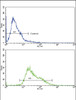 Flow cytometric analysis of CEM cells using AMHR2 Antibody (bottom histogram) compared to a negative control cell (top histogram) . FITC-conjugated goat-anti-rabbit secondary antibodies were used for the analysis.