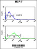 Flow cytometric analysis of MCF-7 cells (bottom histogram) compared to a negative control cell (top histogram) .FITC-conjugated goat-anti-rabbit secondary antibodies were used for the analysis.