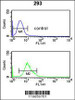 Flow cytometry analysis of 293 cells (bottom histogram) compared to a negative control cell (top histogram) .FITC-conjugated goat-anti-rabbit secondary antibodies were used for the analysis.