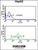 Flow cytometric analysis of HepG2 cells (bottom histogram) compared to a negative control cell (top histogram) .FITC-conjugated goat-anti-rabbit secondary antibodies were used for the analysis.