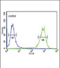 Flow cytometric analysis of K562 cells (right histogram) compared to a negative control cell (left histogram) .FITC-conjugated goat-anti-rabbit secondary antibodies were used for the analysis.