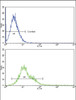 Flow cytometric analysis of k562 cells (bottom histogram) compared to a negative control cell (top histogram) .FITC-conjugated goat-anti-rabbit secondary antibodies were used for the analysis.