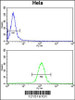 Flow cytometry analysis of Hela cells (bottom histogram) compared to a negative control cell (top histogram) . FITC-conjugated goat-anti-rabbit secondary antibodies were used for the analysis.