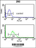 Flow cytometry analysis of 293 cells (bottom histogram) compared to a negative control cell (top histogram) .FITC-conjugated goat-anti-rabbit secondary antibodies were used for the analysis.