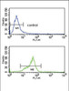 Flow cytometry analysis of K562 cells (bottom histogram) compared to a negative control cell (top histogram) .FITC-conjugated goat-anti-rabbit secondary antibodies were used for the analysis.