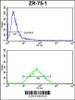 PXMP4 Antibody FC analysis of ZR-75-1 cells (bottom histogram) compared to a negative control cell (top histogram) . FITC-conjugated goat-anti-rabbit secondary antibodies were used for the analysis.