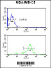 Flow cytometric analysis of MDA-MB435 cells (bottom histogram) compared to a negative control cell (top histogram) .FITC-conjugated goat-anti-rabbit secondary antibodies were used for the analysis.