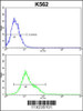 Flow cytometric analysis of k562 cells (bottom histogram) compared to a negative control cell (top histogram) .FITC-conjugated goat-anti-rabbit secondary antibodies were used for the analysis.