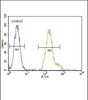 Flow cytometric analysis of Hela cells (right histogram) compared to a negative control cell (left histogram) .FITC-conjugated goat-anti-rabbit secondary antibodies were used for the analysis.