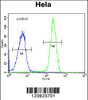 Flow cytometric analysis of Hela cells (right histogram) compared to a negative control cell (left histogram) .FITC-conjugated goat-anti-rabbit secondary antibodies were used for the analysis.